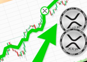 Four Years of Red: Why XRP Finally Has Bull Chance This August