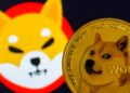 Is The Dogecoin Vs. Shiba Inu Debate Over?