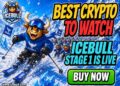 PENGU, DOGE and IceBull’s Early Attention