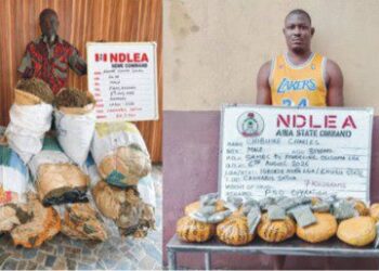 NDLEA busts drug shipment, seizes 1,633kg skunk in Ondo