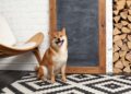 Can Shiba Inu Reach $1 During the Next Crypto Bull Market? The Answer Will Blow Your Mind.