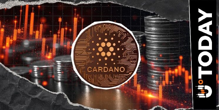 Cardano Faces 899% Liquidation Imbalance: Are Bears Trapped?