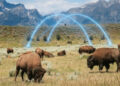 Wyoming Fully Migrates State-Issued Stablecoin Infrastructure to Chainlink CCIP — BigGo Finance