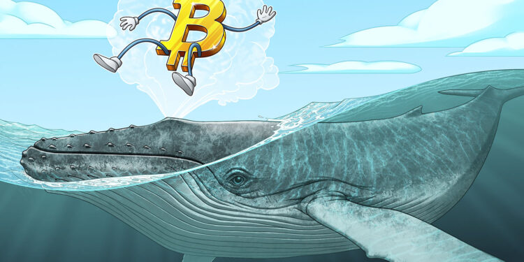Bitcoin Whales Signal Possible Bear Market Bottom