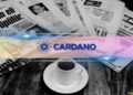 Important Cardano News and ADA Price Update: August 5th