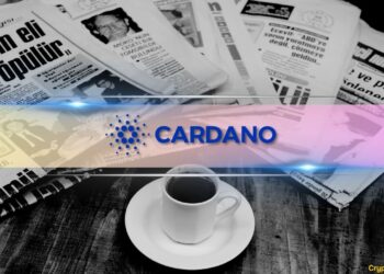 Important Cardano News and ADA Price Update: August 5th