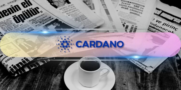 Important Cardano News and ADA Price Update: August 5th