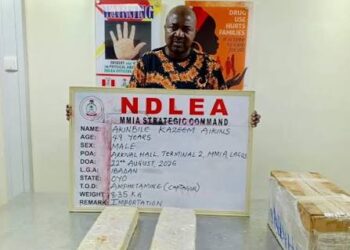 NDLEA intercepts N6.2bn ‘Jihadi drug’ in Ghana soap, opioids at Lagos airport – Daily Champion