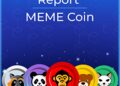 One Cryptocurrency Sustaining Above the Support Levels- Peanut the Squirrel (PNUT)