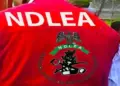 NDLEA busts drug shipment, seizes 1,633kg skunk in Ondo – Daily Trust