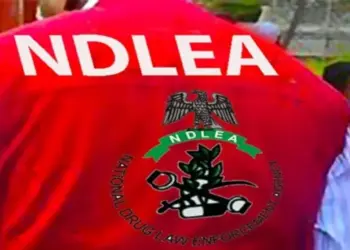 NDLEA busts drug shipment, seizes 1,633kg skunk in Ondo – Daily Trust