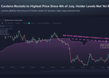Cardano’s Total Holders Drop, While Prices Again Pop!