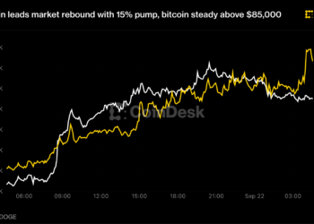Dogecoin leads market rebound with 15% pump, bitcoin steady above $85,000