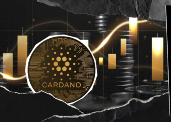 Cardano Scores Significant Payments Integration