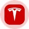 Tesla (Ondo Tokenized) Rich List — Top 100 Holders & Distribution Chart