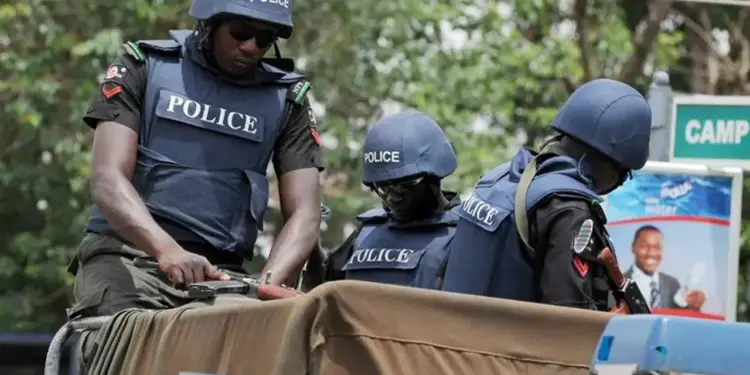 Ondo Police arrest 15 over toxic ‘monkey tail’ drink
