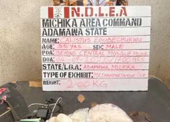 NDLEA Seizes Over 2 Million Opioid Pills, 2,000kg Cannabis In Nine-State Crackdown