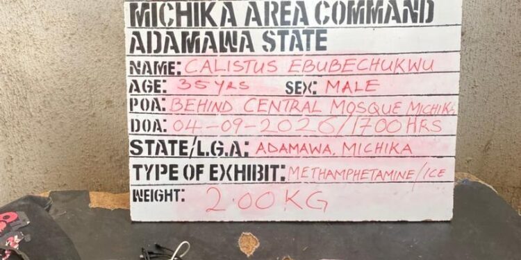 NDLEA Seizes Over 2 Million Opioid Pills, 2,000kg Cannabis In Nine-State Crackdown