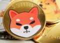 Shiba Inu (SHIB) Secures Bullish Outflows