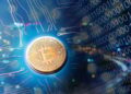 With the Midterm Elections Coming Up, This Is the Only Cryptocurrency I’m Buying Right Now