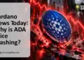 ADA Price Crash Hard, What Next?