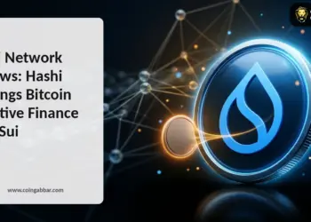 Hashi Is Now on Sui Devnet