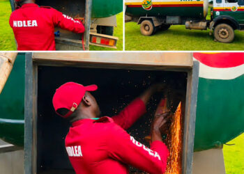 NDLEA intercepts fuel tanker with 2,145kg cannabis hidden in false compartment (Video) – National Daily Newspaper