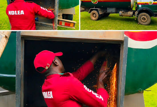NDLEA intercepts fuel tanker with 2,145kg cannabis hidden in false compartment (Video) – National Daily Newspaper