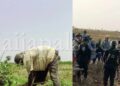 Ondo Farmer Found Dead on Cocoa Plantation After Failing to Return Home