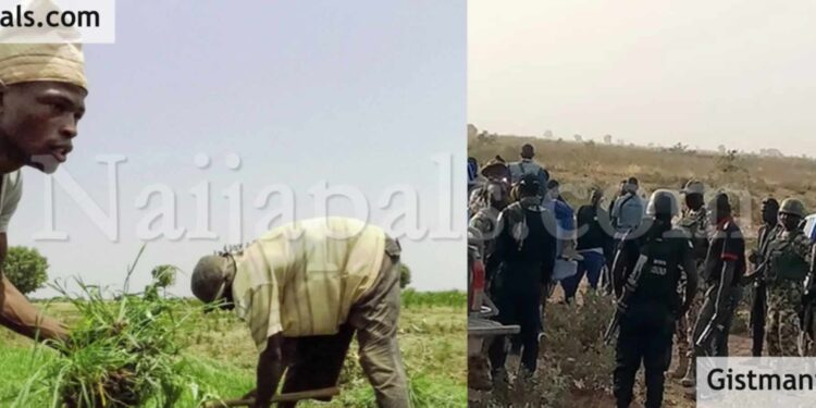 Ondo Farmer Found Dead on Cocoa Plantation After Failing to Return Home