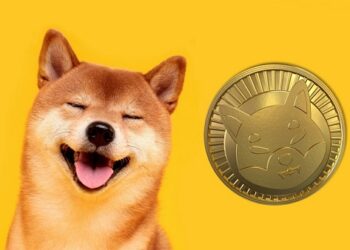 Shiba Inu daily burn value just $1 as focus turns to U.S. inflation data