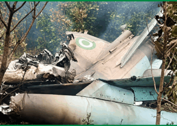 NAF Plane Crash: Ondo Monarch Raises Alarm Over Decaying Bodies In Swamp